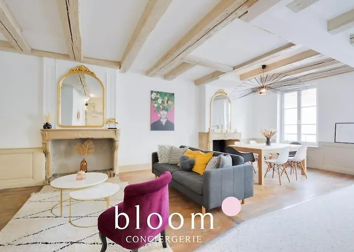 Nancy Centre Appartement Entierement Renove